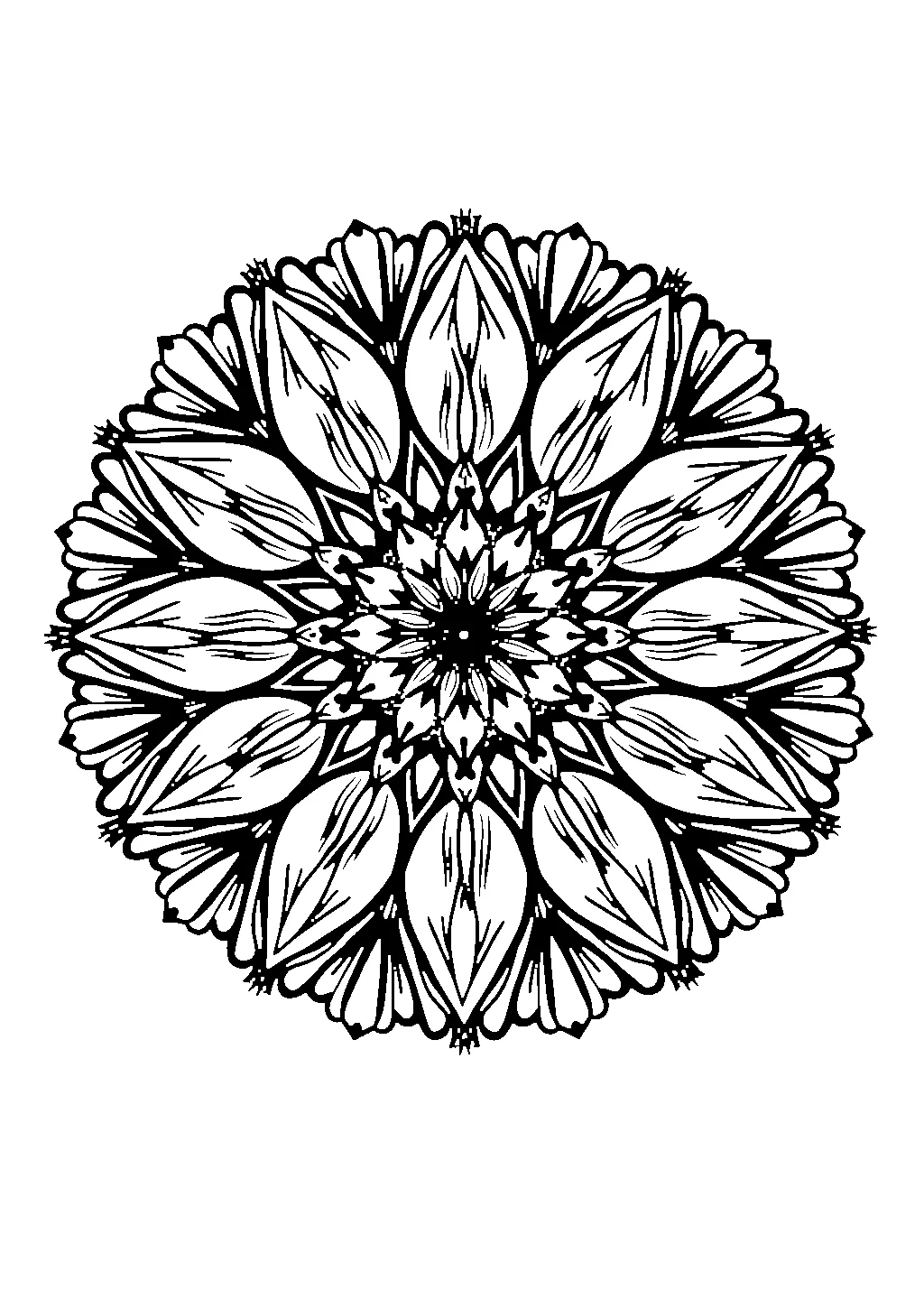 Disegno di mandala circolare con motivi intrecciati simili a un pizzo ricamato da colorare