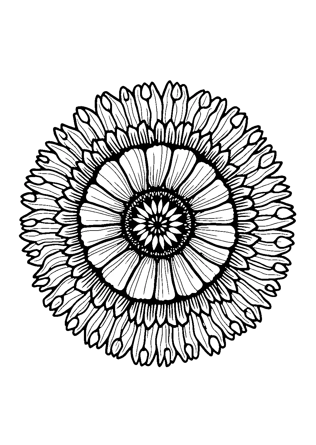 Disegno di mandala decorativo con boccioli di rosa intrecciati da colorare per adulti