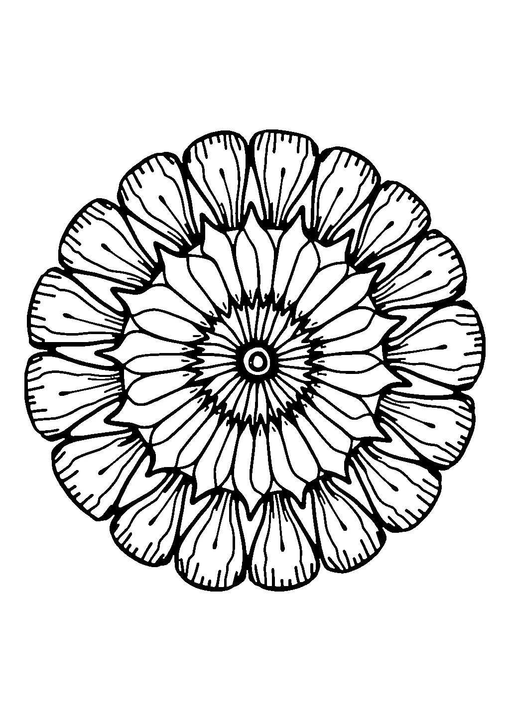 Disegno di mandala a tema marino con conchiglie e motivi ondulati da colorare