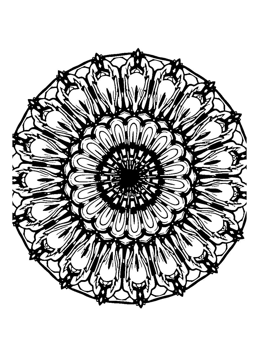 Disegno di mandala circolare decorato con foglie di felce stilizzate da colorare